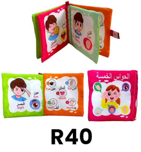 R40 كتب قماش الحواس