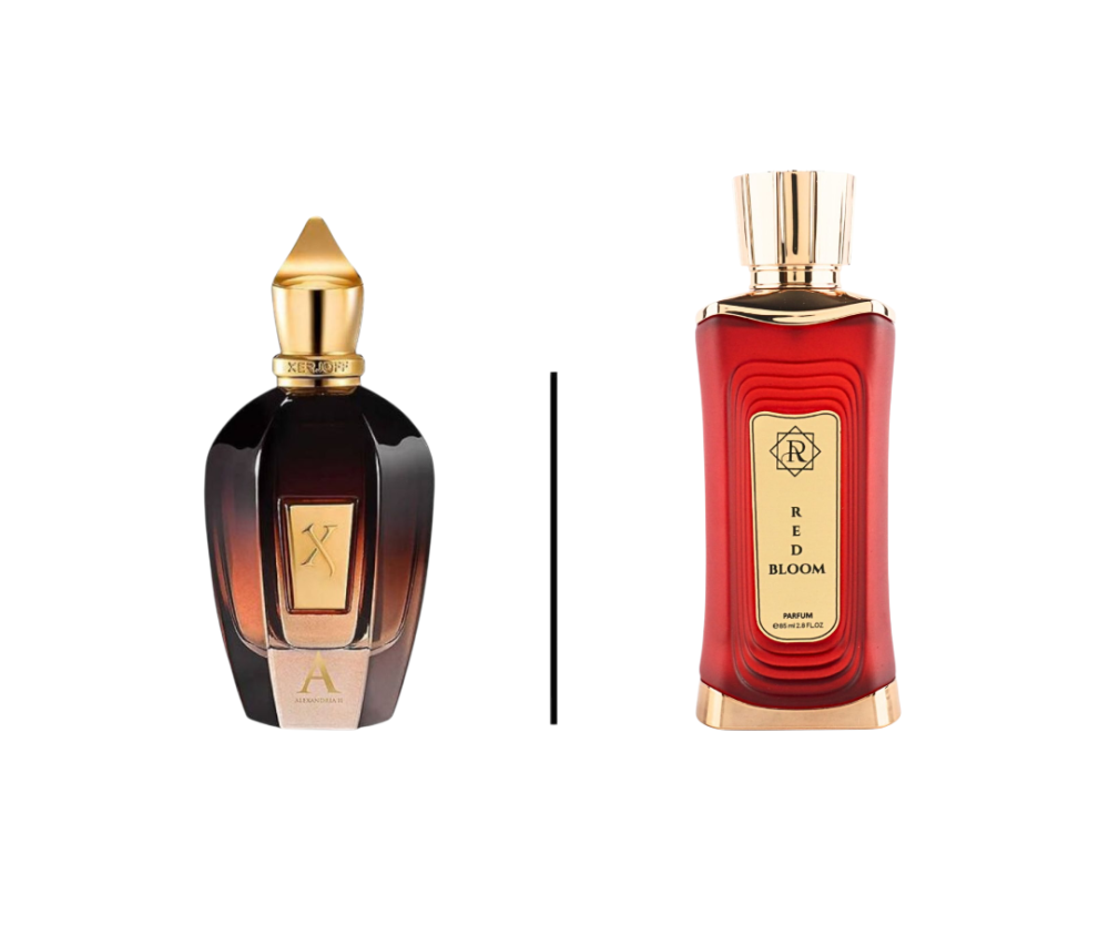 عطر رتشي ريد بلوم بارفيوم 85مل