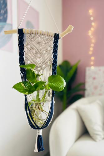حامل نباتات معلق (Plant Hanger) – لمسة بوهيمية أني...