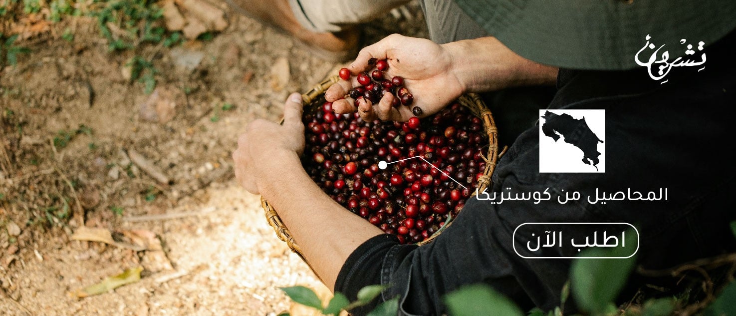 محاصيل كوستريكا