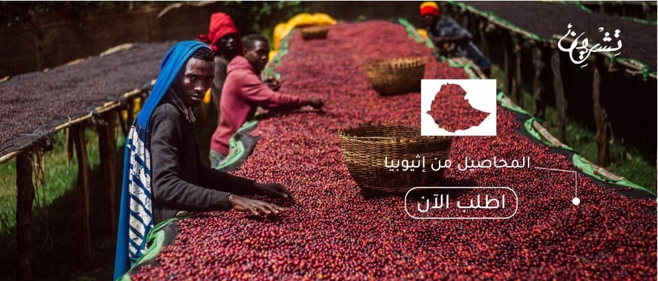 محاصيل اثيوبيا
