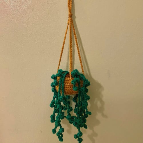 Hanging Plant | نبتة معلقة