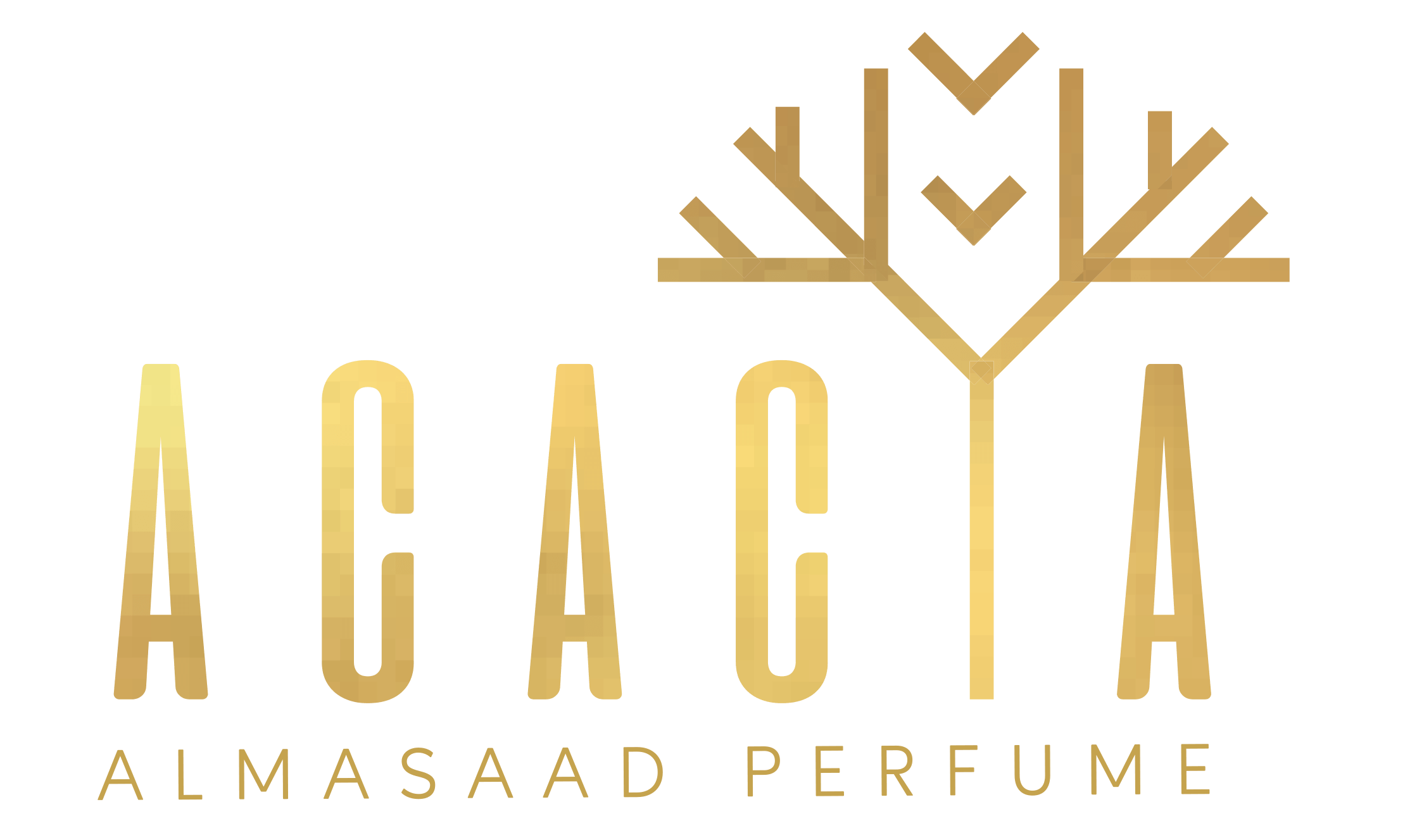 أكاسيا | Acacia