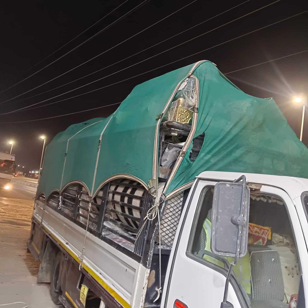 شراع دينا شبك أخضر