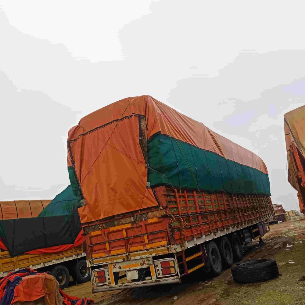 شراع تريله شبك مع جلد