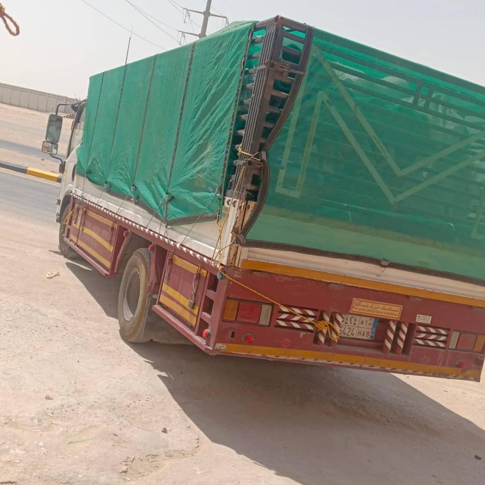 صور شراع دينا شبك أخضر