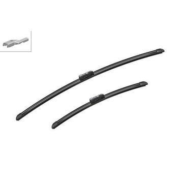 مساحات باتنر 2020