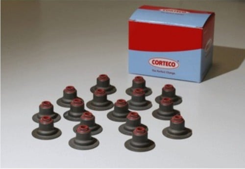 جلود  بلوف اكسبرت