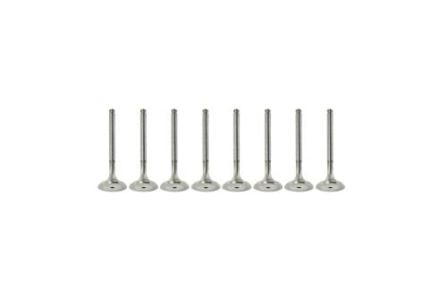 طقم بلوف اوروبي اكسبريس 2024