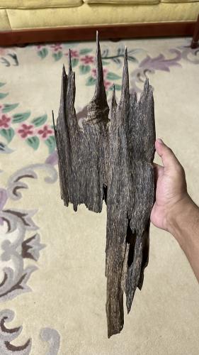 منيبور دبل سوبر