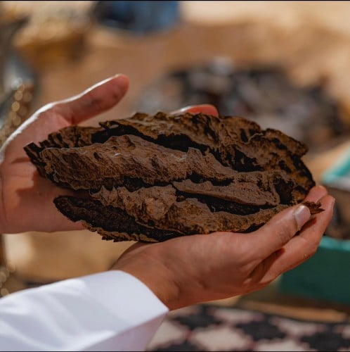 جار جارهوليز