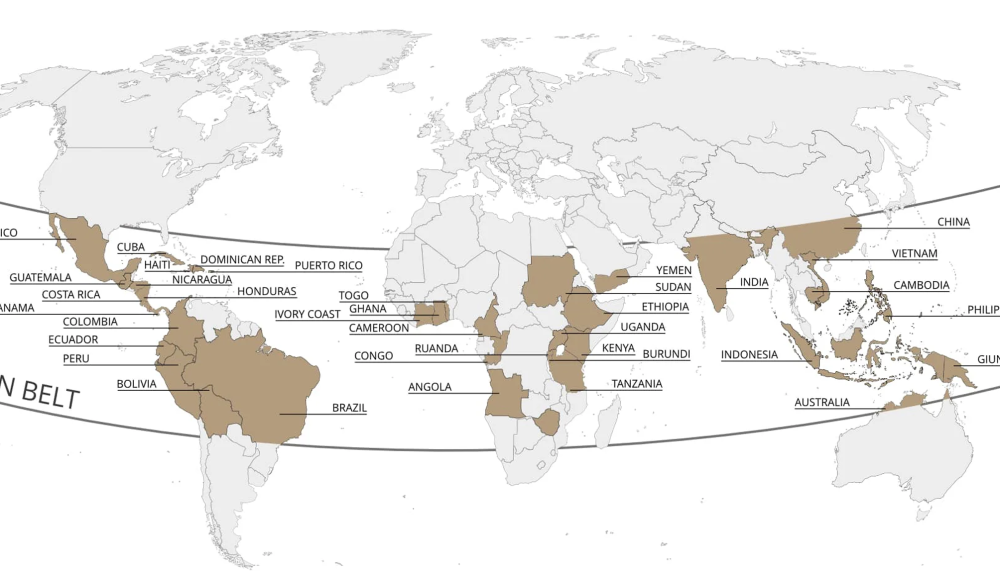 دول تصدير البن