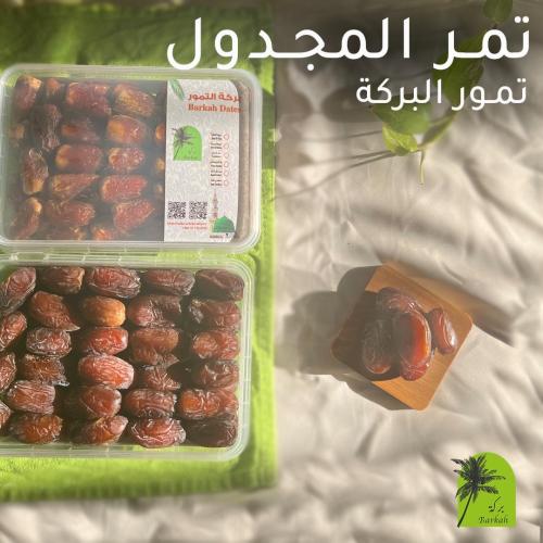 مجدول