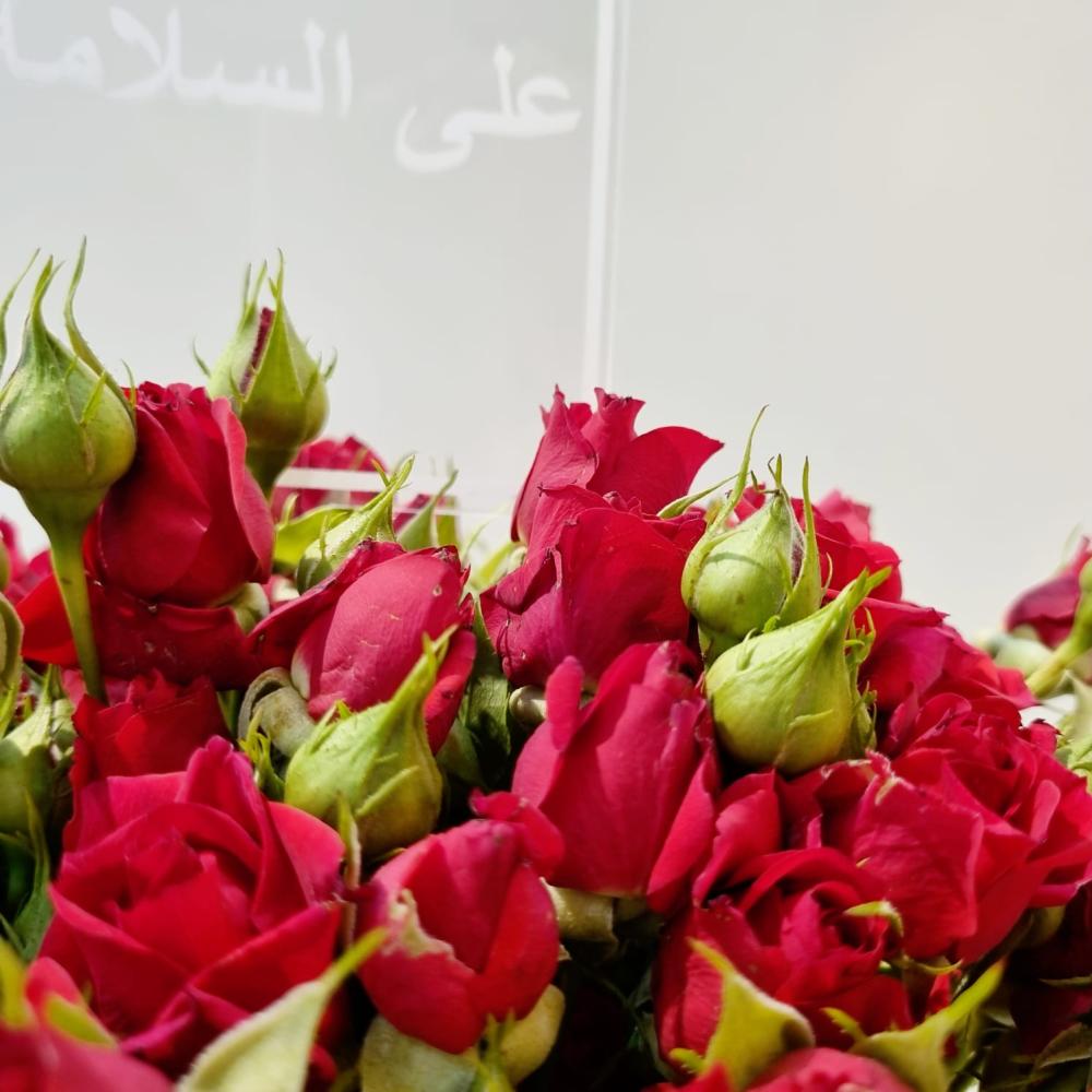 فازة السلامة