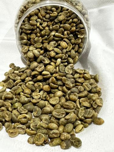 بن شدوي غير محمص فاخر