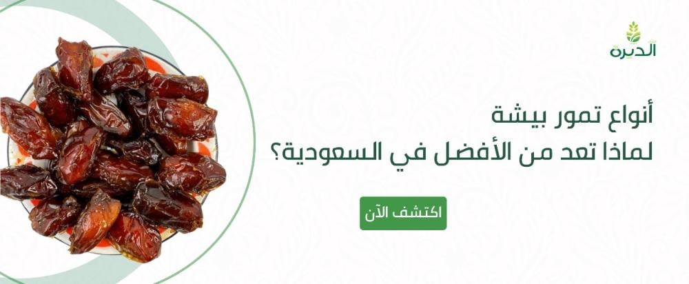 أنواع تمور بيشة