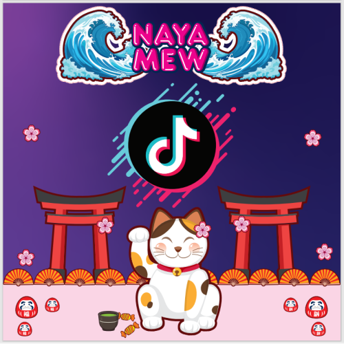 تصوير اعلان تيك توك