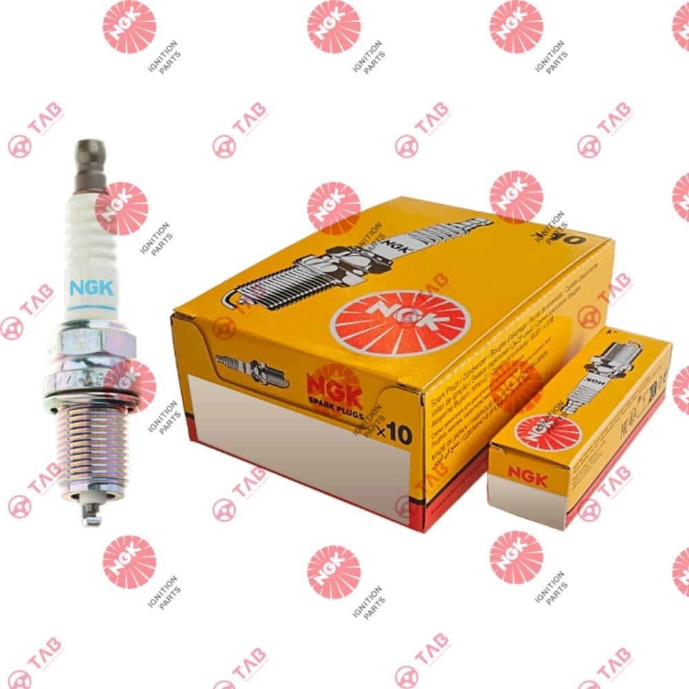 C7HSA-4629 / 058