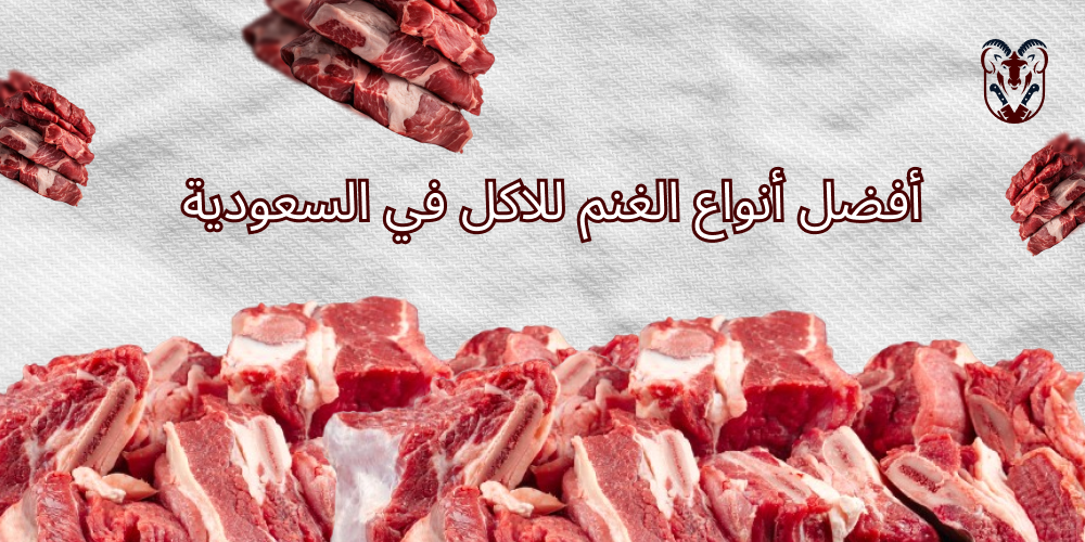 أفضل أنواع الغنم للاكل في السعودية