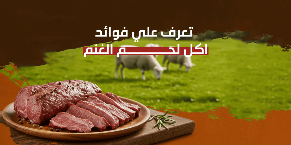 فوائد اكل لحم الغنم
