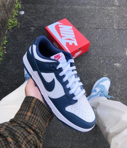 Nike Dunk Low Valerian Blue