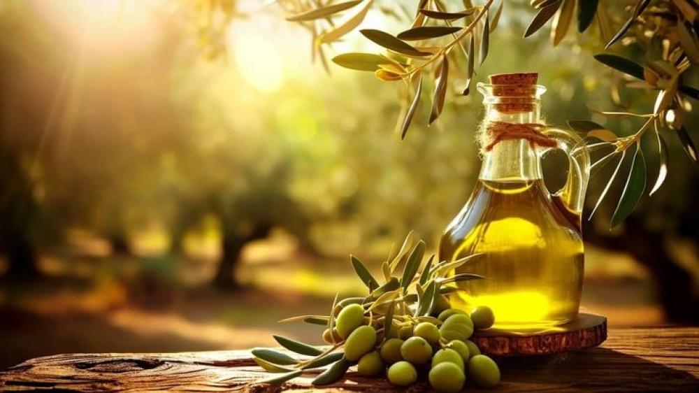 نسبة الحموضة في زيت الزيتون