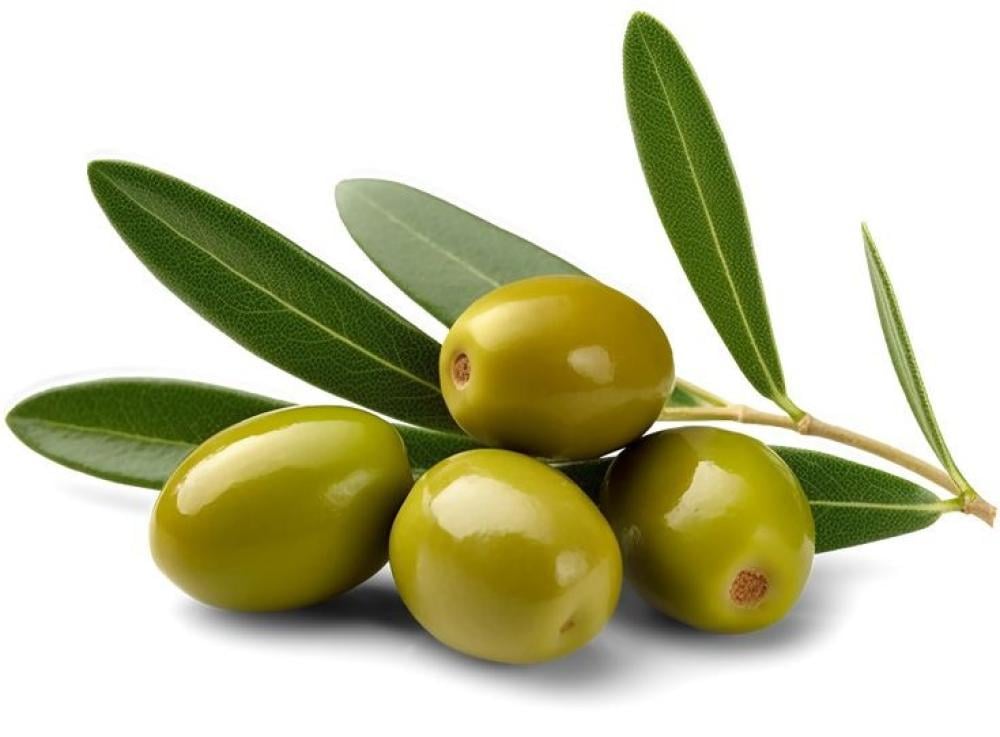 أفضل زيت طبخ في السعودية