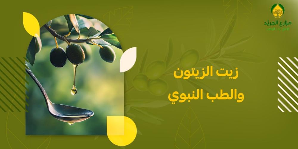 زيت الزيتون بين الطب النبوي والعلم الحديث: فوائد مذهلة وأفضل المنتجات الطبيعية