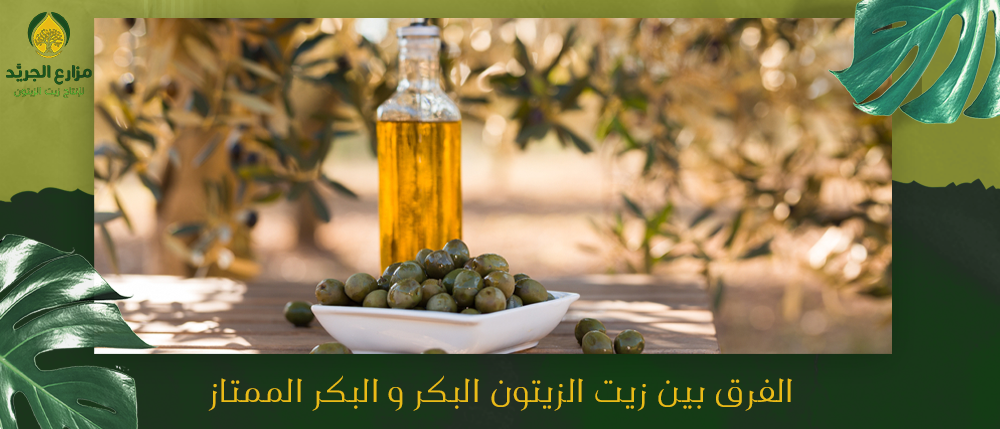 ما الفرق بين زيت الزيتون البكر و البكر الممتاز؟