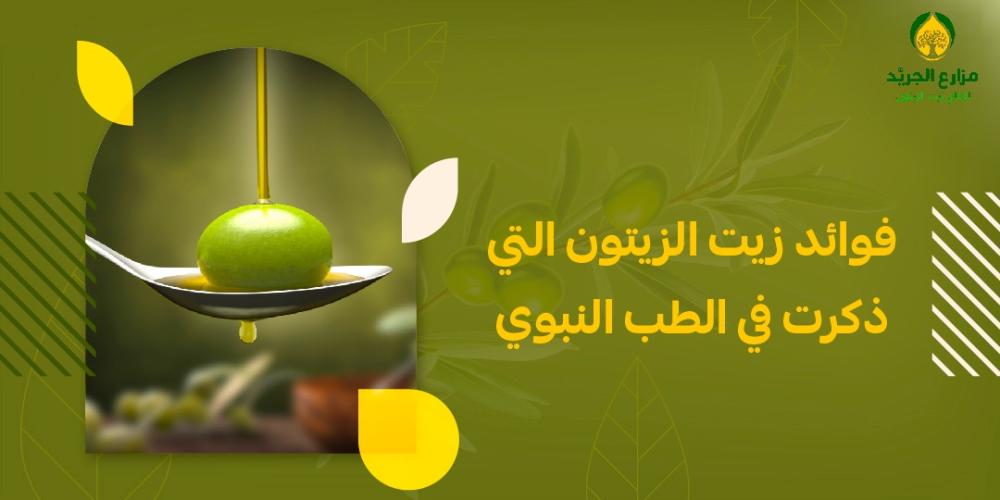 فوائد زيت الزيتون في الطب النبوي: كيف يعزز صحتك وفقًا لأحاديث النبي صلى الله عليه وسلم