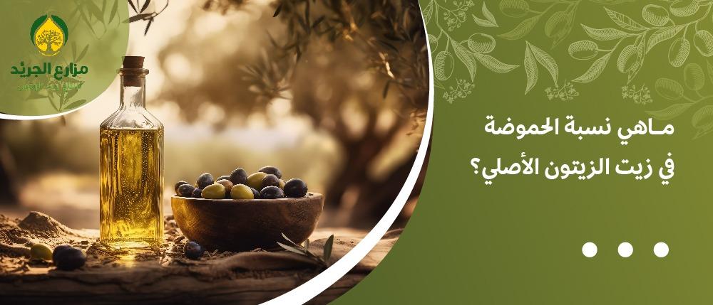 ماهي نسبة الحموضة في زيت الزيتون الأصلي؟
