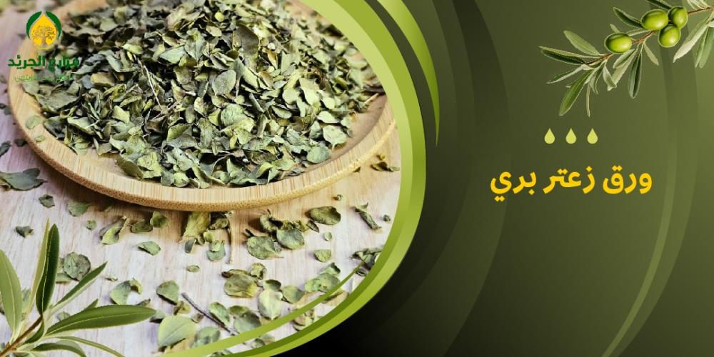 فوائد ورق زعتر بري: كنز طبيعي لصحتك وجمالك | من خلال الجريد