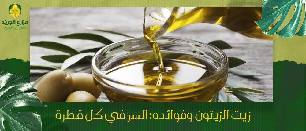 زيت الزيتون وفوائده: السر في كل قطرة