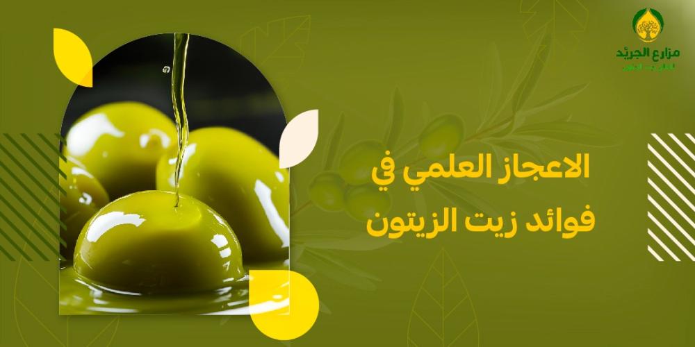 الإعجاز العلمي وراء فوائد زيت الزيتون: كيف يحسن صحتك ويقيك من الأمراض