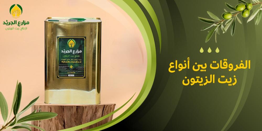 ما هي الفروقات بين أنواع زيت الزيتون؟