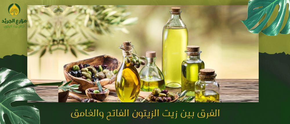 ماهو الفرق بين زيت الزيتون الفاتح والغامق ؟