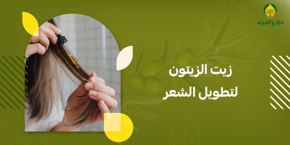 زيت الزيتون لتطويل الشعر: سر الحصول على شعر طويل وصحي من متجر الجريد