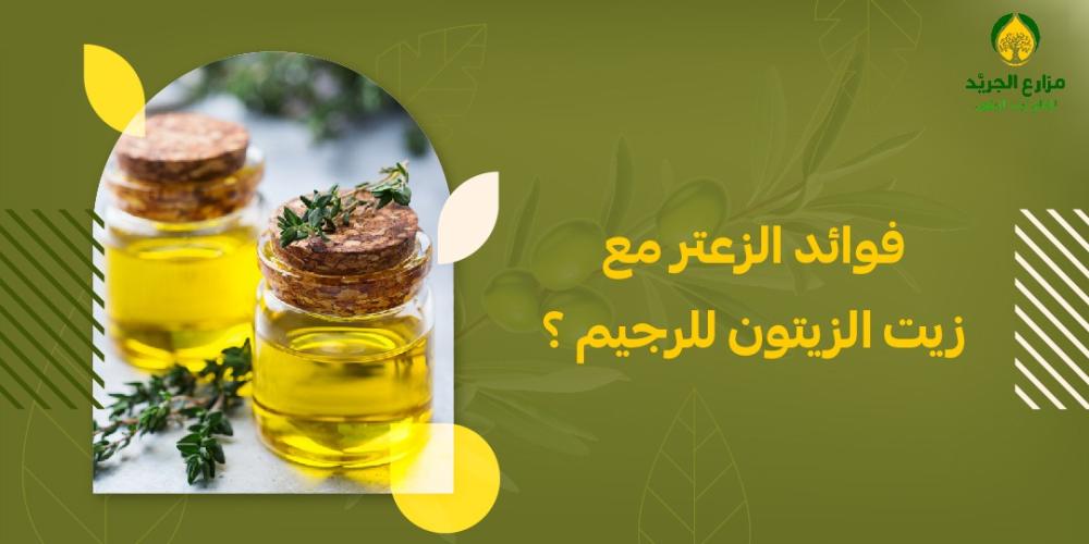 فوائد الزعتر مع زيت الزيتون للرجيم ؟