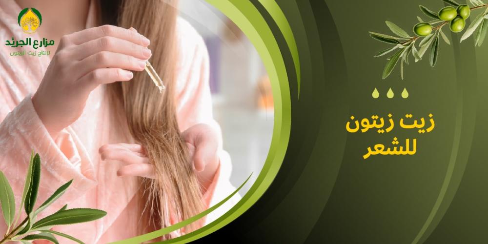 فوائد زيت زيتون للشعر: الحل الطبيعي لشعر صحي ولامع