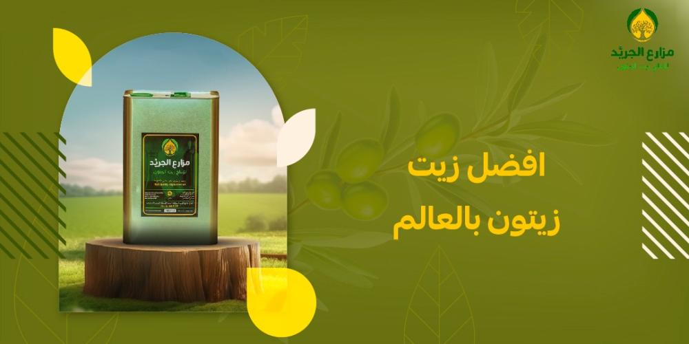 أفضل زيت زيتون بالعالم: كيف تختار الأنقى والأكثر صحة