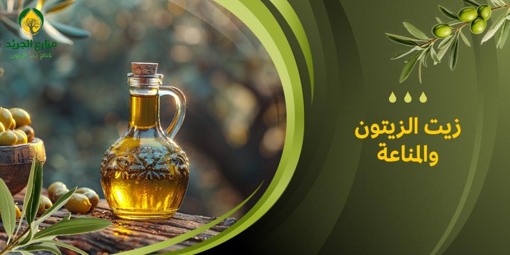 تناول زيت الزيتون يوميًا: مفتاحك لتعزيز المناعة والحماية من الأمراض