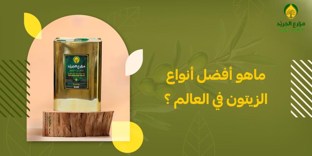 ماهو أفضل أنواع الزيتون في العالم ؟
