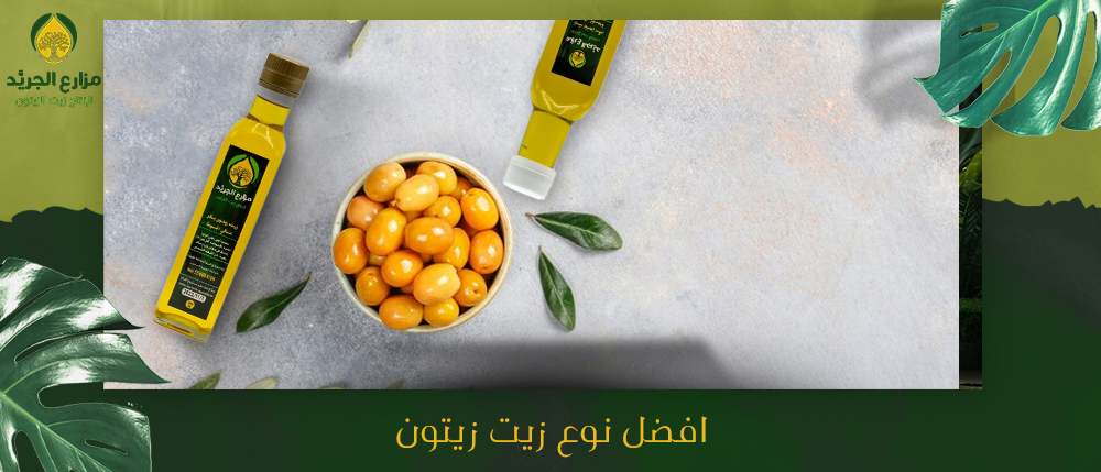 مقارنة شاملة بين افضل انواع زيت الزيتون: ما الذي يجعل بعضها أفضل؟