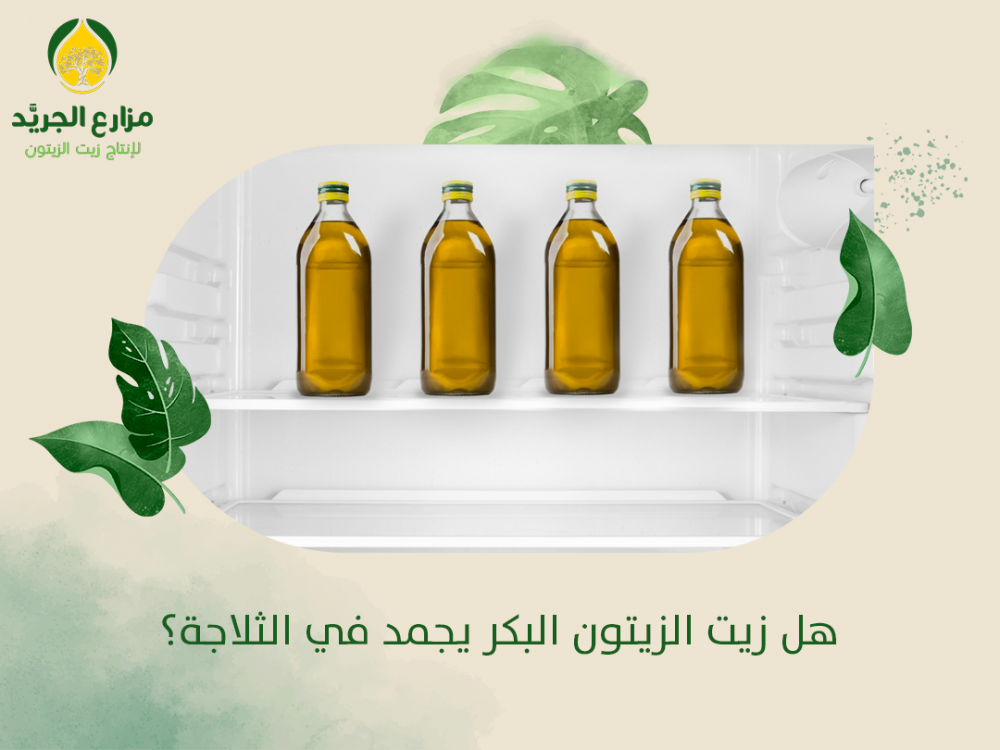 هل زيت الزيتون البكر يجمد في الثلاجة؟