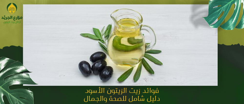 فوائد زيت الزيتون الأسود: دليل شامل للصحة والجمال
