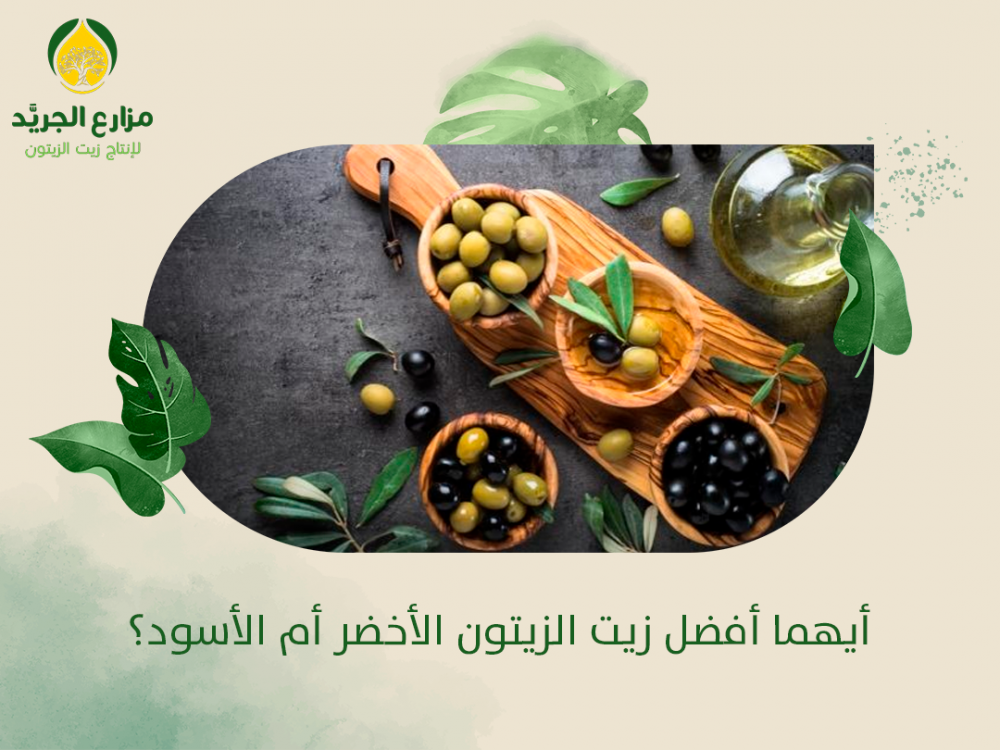 أيهما أفضل زيت الزيتون الأخضر أم الأسود؟
