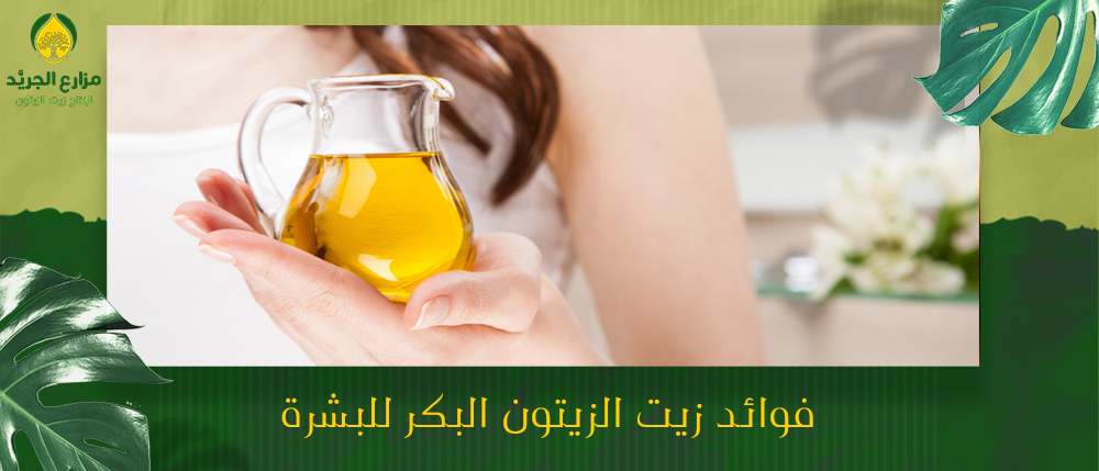 أهم فوائد زيت الزيتون البكر للشعر | وكيفية استخدامه