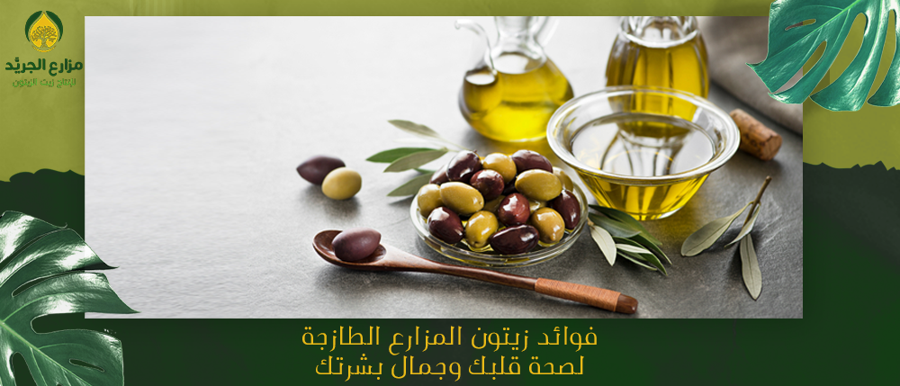فوائد زيتون المزارع الطازجة لصحة قلبك وجمال بشرتك