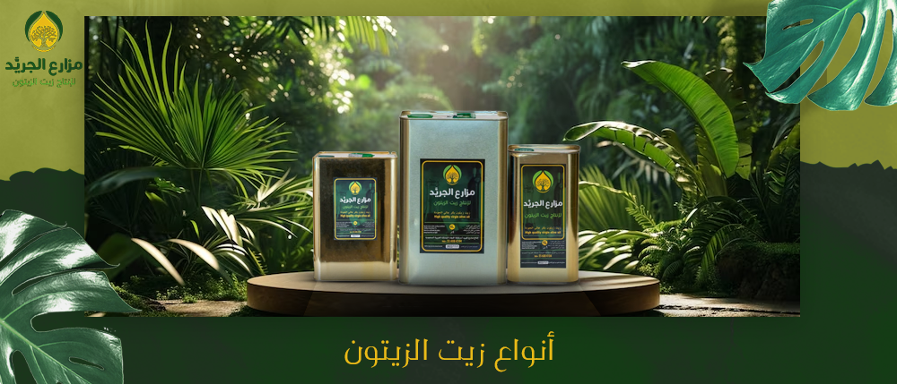 كل ما تحتاج لمعرفته عن أنواع زيت الزيتون واختيار الأفضل لك