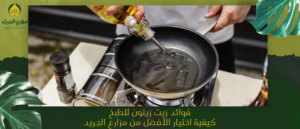 فوائد زيت زيتون للطبخ: كيفية اختيار الأفضل من مزارع الجريد